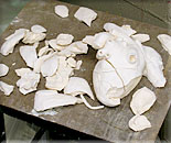 Silica (ceramic dusts)