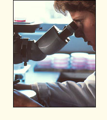 Cancer Research
