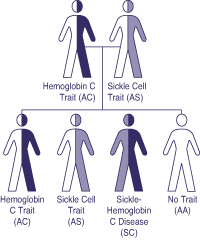 sickle cell trait