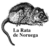 La Rata de Noruega
