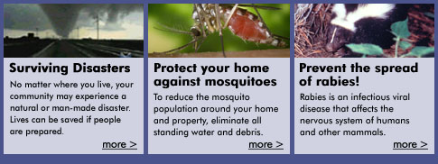 Protect your home against mosquitoes or How to Select a Nursing Home or Prevent the Spread of Rabies