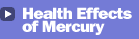 Health Effects of Mercury