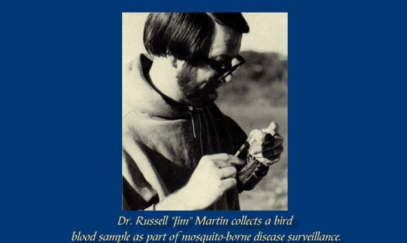 St. Louis encephalitis headlines