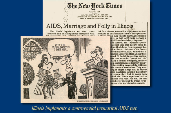 DNA makeup of E. coli
